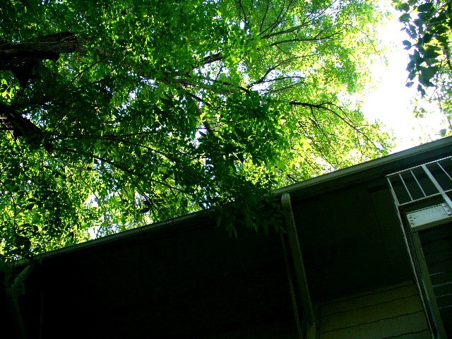 roof-maintenance-tips.jpg